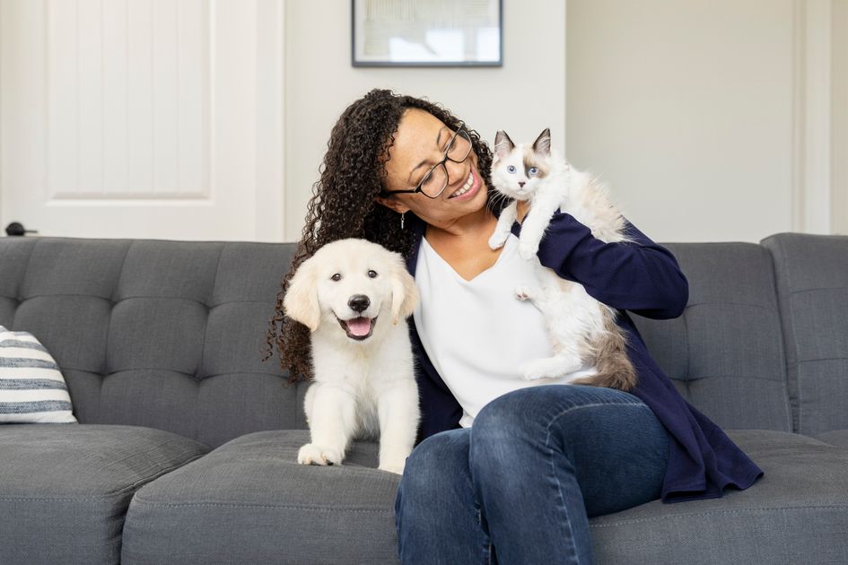 PetSafe - Practical pet tech for feeding, safety, training, and home routines