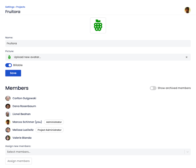 Sandtime.io project settings with a billable toggle and assigned team members